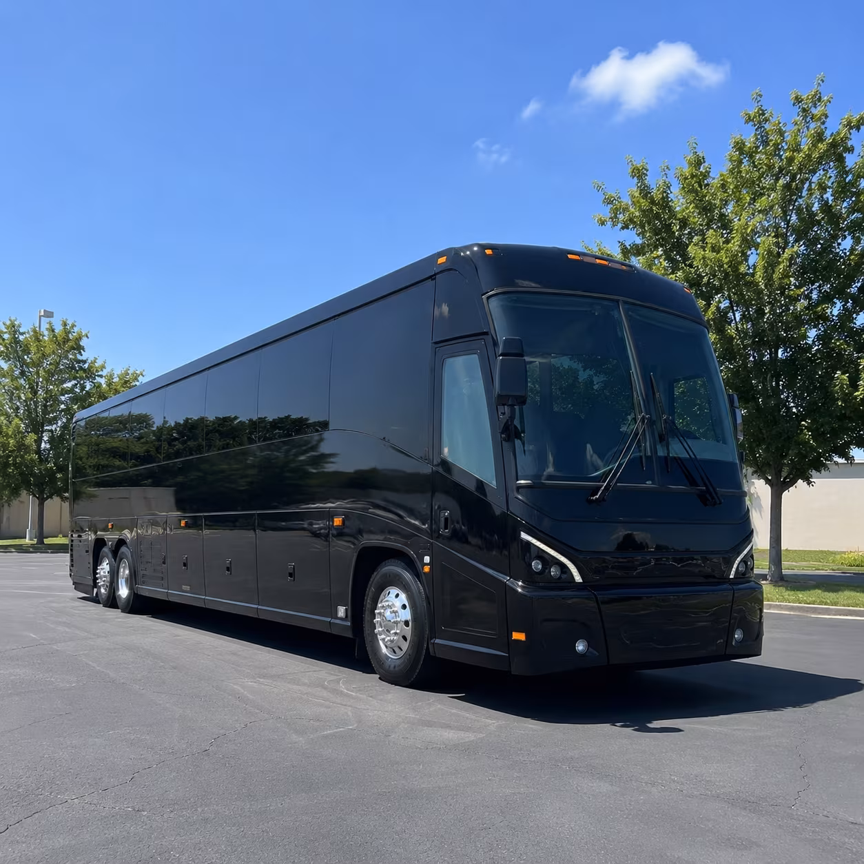 choose the right bus for pinellas county emergency management and disaster operations
