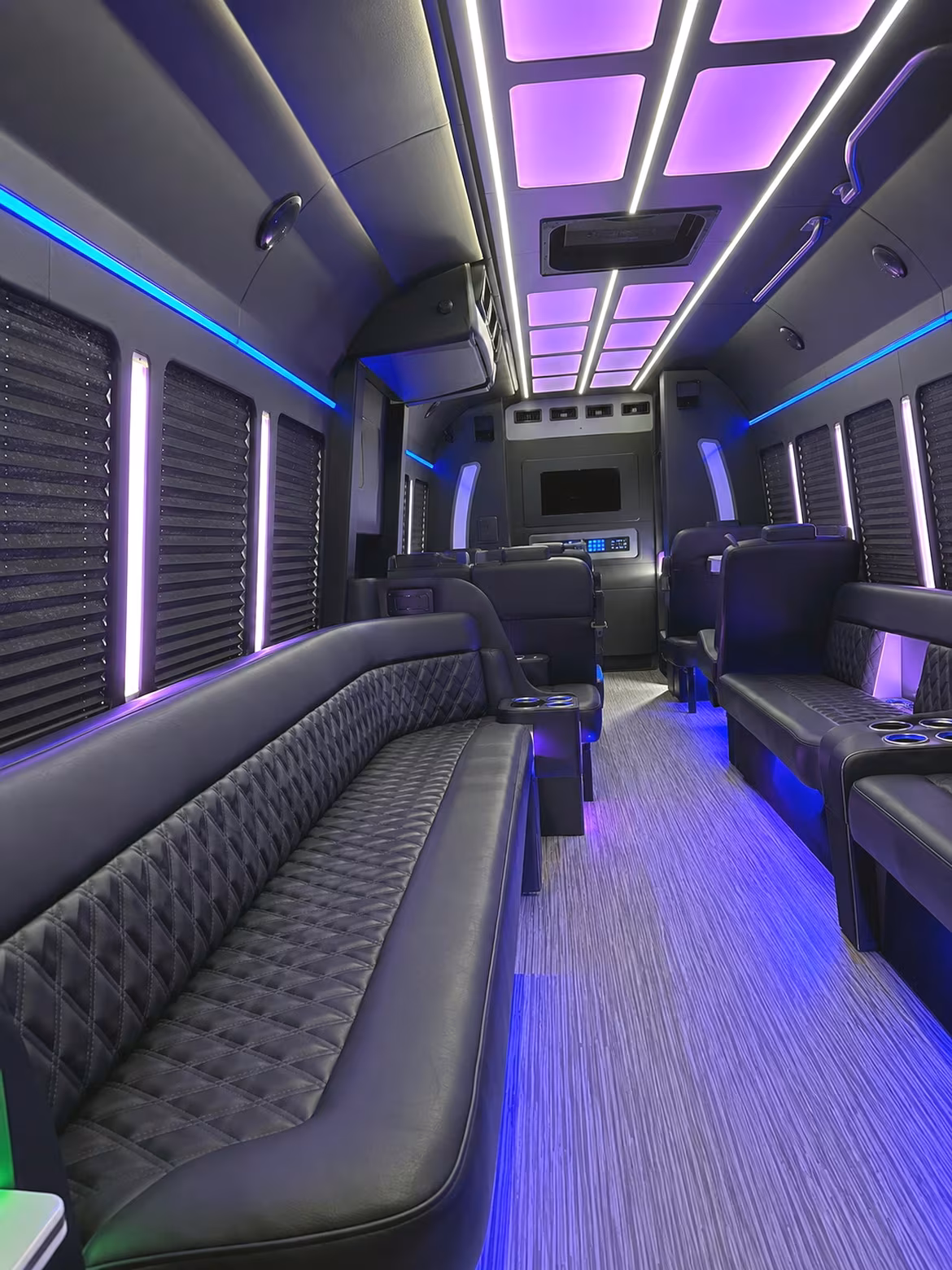 st petersburg birthday party bus rental